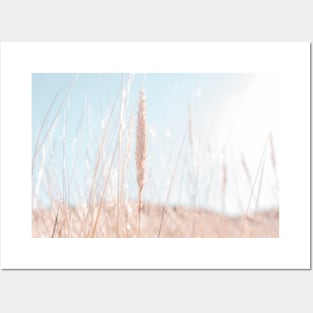 Beach Grass | Beach Grass Photography | Backlight Fine Art Print Posters and Art